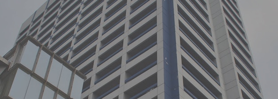 Hayam Wuruk Plaza
